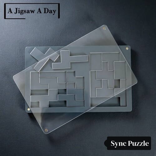 Sync puzzle同步超高难度烧脑异形益智拼图解压十级难度逻辑玩具