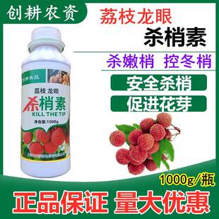 荔枝龙眼专用控梢促花素杀梢素果树杀东梢短花丰产素增产药膨大剂