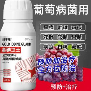 葡萄病全治白腐病黑痘病灰霉病软腐病葡萄专用药