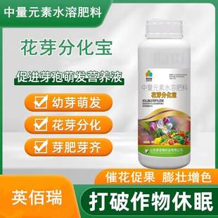 花芽分化宝 细胞分裂素叶面肥多肉爆芽素增产增收催芽促长替代920