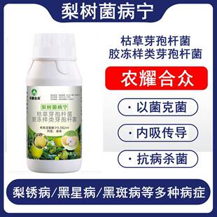 梨树锈病专用药杀菌剂梨锈病白粉病梨树病菌清非农药梨增产专用肥