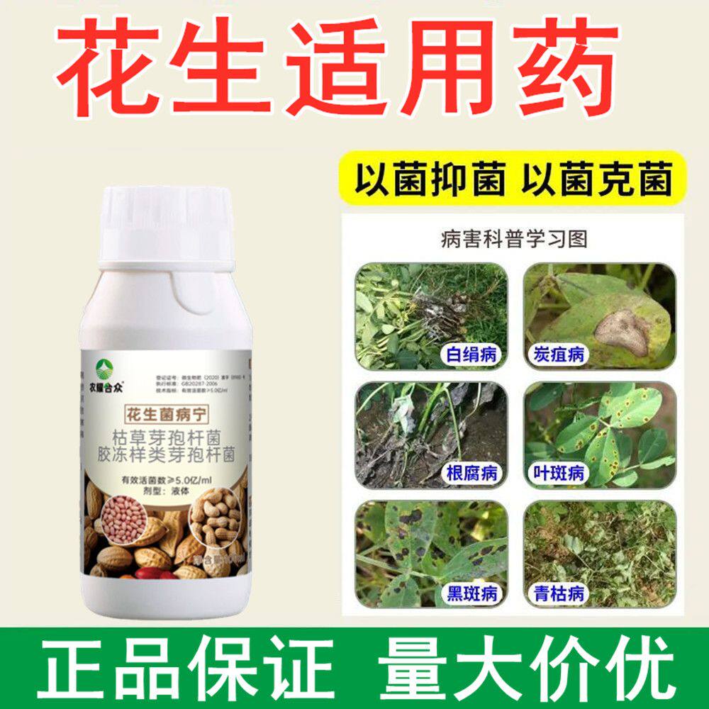 花生白绢病专用药病菌清非农药微生物菌剂小叶黄叶病根腐病杀菌剂