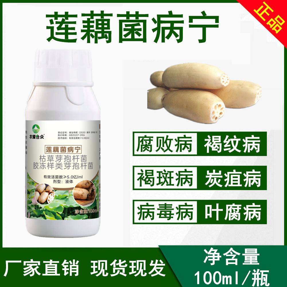 莲藕专药叶斑病叶片发黄炭疽灵病毒病克星菌立清杀菌药剂非复合肥