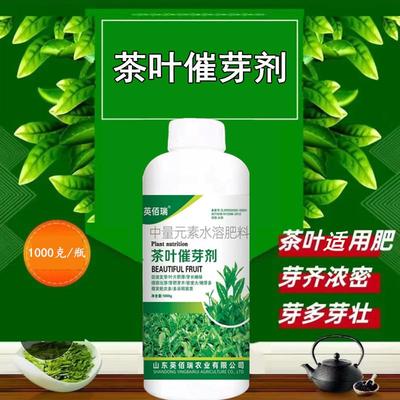 茶叶催芽素叶面肥茶树专用肥料促进发芽暴芽增产增厚素芽长嫩绿剂