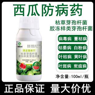 西瓜防病药甜瓜卷叶病枯萎病蔓枯病黄叶病白粉病专用杀菌剂病菌清