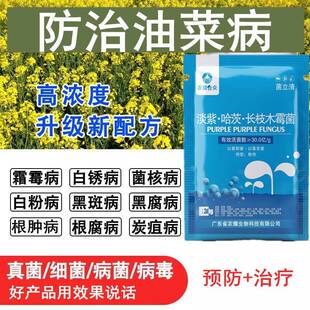 油菜专用药霜霉菌核病根肿病药花叶枯萎病油莱杀菌剂抗病增产农用