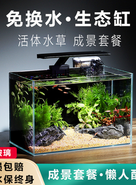 鱼缸客厅小型生态造景全套桌上小鱼缸桌面电视柜旁家用免换水超白