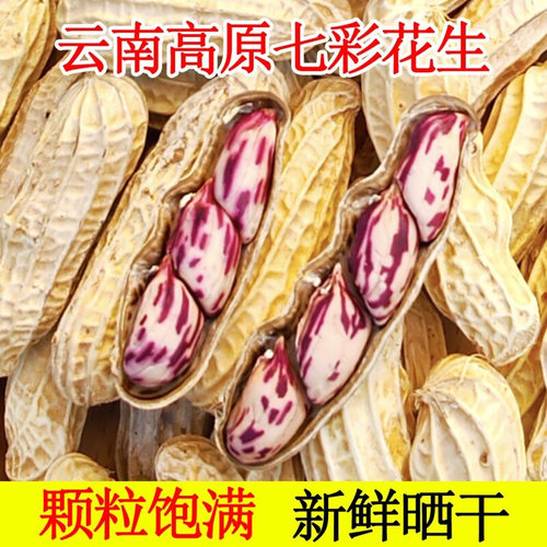 云南特产七彩花生种子生花生米牛奶花生 生的带壳生花生仁晒干