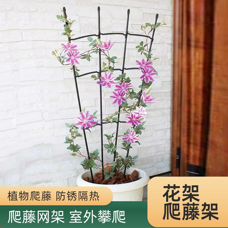 花架爬藤架铁线莲月季植物攀爬铁线支架杆子阳台藤架固定网格花架