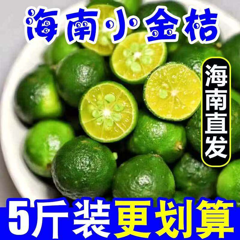 海南小金桔新鲜小青桔水果奶茶店专用小金桔青金桔非小青柠檬包邮