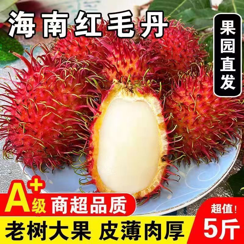 海南红毛丹带箱5斤毛荔枝