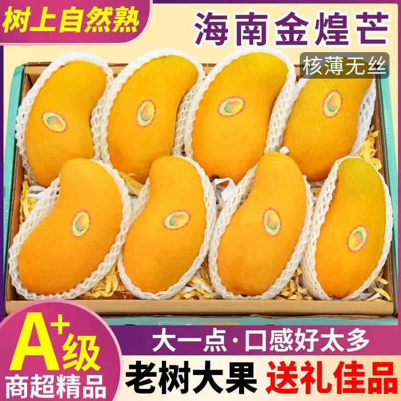 【顺丰礼盒】海南金煌芒新鲜树上熟芒果5斤热带特产整箱包邮
