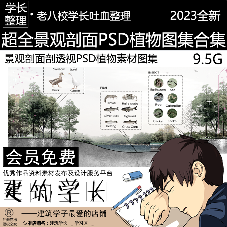 全新景观剖面psd植物图集合集 景观剖面剖透视植物百科图集