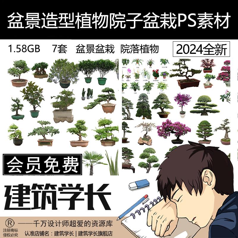 盆景造型植物院子盆栽摆件黑松罗汉松崖柏桩效果图PSD免扣ps素材