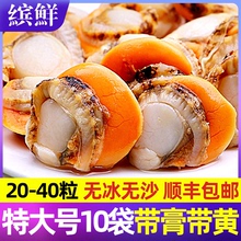 扇贝肉带黄新鲜扇贝鲜活特大冷冻海鲜水产红