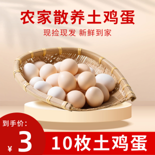 农家散养土鸡蛋笨鸡蛋柴鸡蛋现拣现发新鲜鸡蛋 10枚鸡蛋 3元