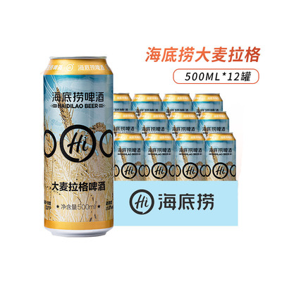 海底捞啤酒大麦拉格500ml罐