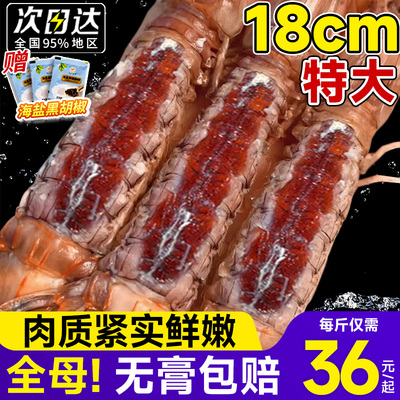 皮皮虾鲜活冷冻特大全母带膏带籽虾爬子椒盐即食濑尿海虾海鲜水产