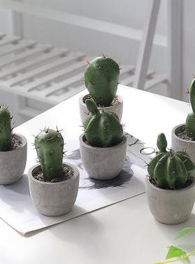 北欧ins仙人掌盆栽绿植 客厅家居装饰龟背叶仙人球假花仿真植物定