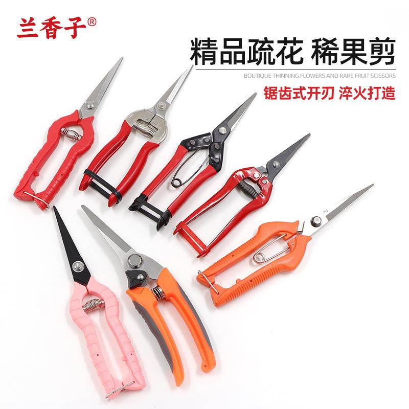 摘果剪不锈钢稀果剪采摘果树树枝修枝盆景工具剪蔬果剪定制