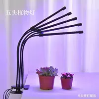 Черные и пятиголовые растения светло-красные и синие