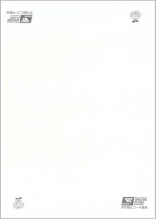 日本折纸飞机协会认定竞技用纸10张 日本纸飞机协会专用竞技纸