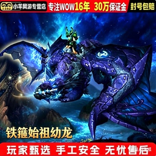 魔兽世界代练成就坐骑25人副本奥杜尔团队的荣耀铁箍始祖幼龙