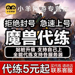魔兽世界代练隐藏光辉成就寻心者解密坐骑宠物玩家17种解密全包
