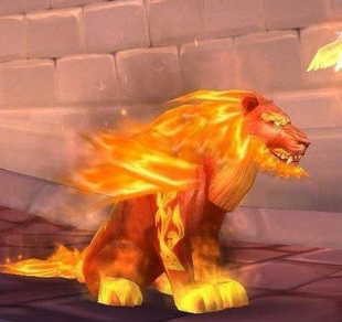 魔兽世界代练豹形态外观烈焰德鲁伊火猫火豹子幻化武器法杖刷火源