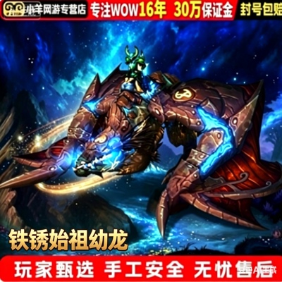 魔兽世界代练成就坐骑10人奥杜尔团队的荣耀铁锈始祖幼龙