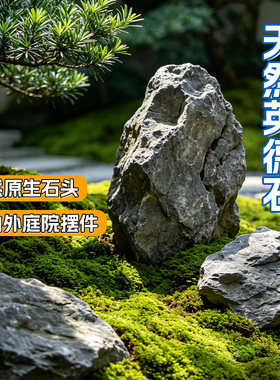 日式庭院造景青龙石新中式枯山水微景观英德石假山石摆件园林大块