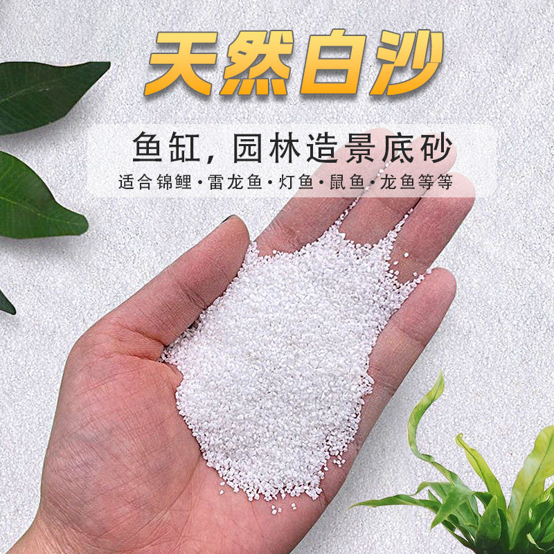 白沙鱼缸造景底砂白色石英砂细沙溪流铺底海沙装饰精致景观生态