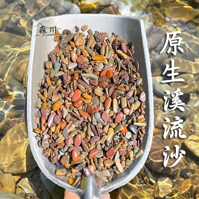 原生缸天然溪流沙鱼缸造景装饰