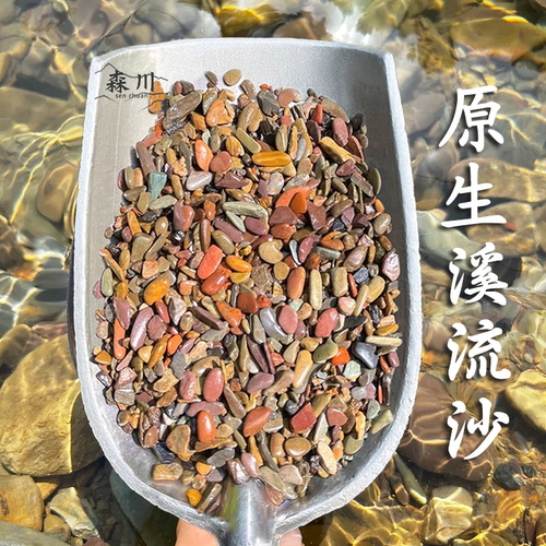 原生缸天然溪流沙鱼缸造景装饰