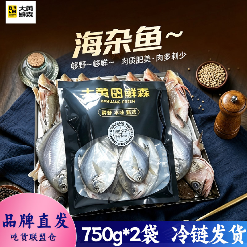 大黄鲜森海杂鱼鲳鱼红头鱼小石斑