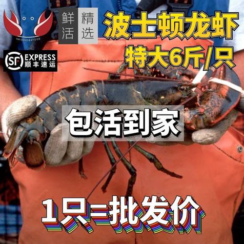 鲜活波士顿龙虾包活到家