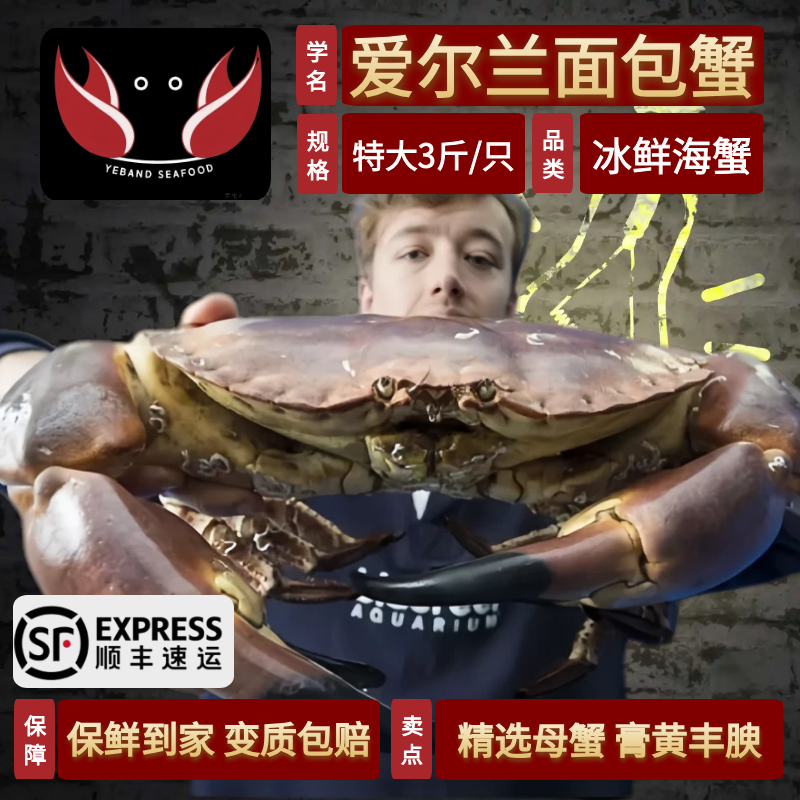 爱尔兰英国面包蟹鲜活特大螃蟹鲜活深水蟹珍宝蟹熟冻肉蟹膏蟹母蟹