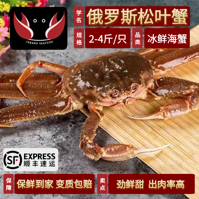 松叶蟹鲜活冷冻长脚蟹特大螃蟹海鲜帝王蟹生冻长腿俄罗斯雪蟹板蟹,水产肉类/新鲜蔬果/熟食,帝王蟹,淘宝优惠券,粉丝福利购,淘宝优惠卷