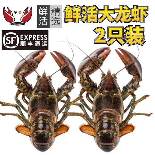 多仓发货 包活到家