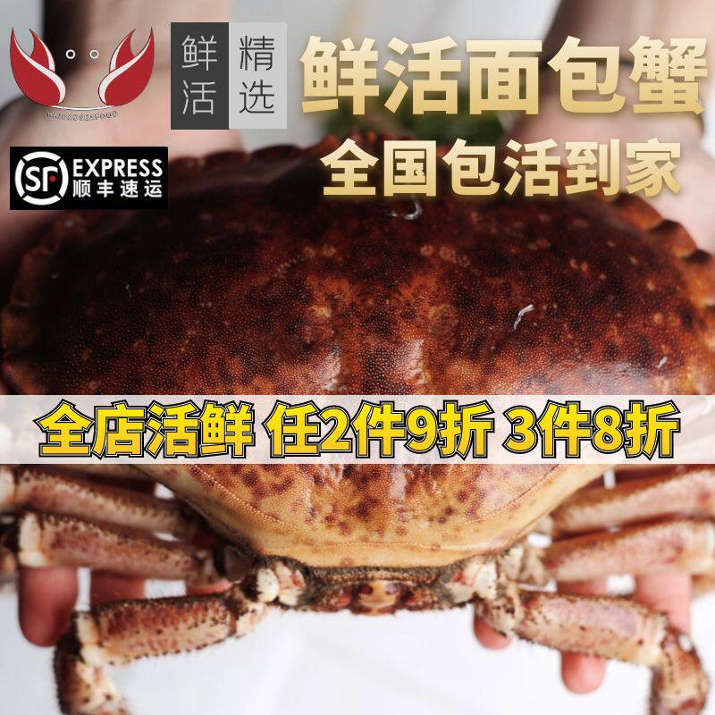 面包蟹鲜活螃蟹海鲜帝王蟹活蟹膏蟹母蟹黄金蟹珍宝蟹特大螃蟹水产
