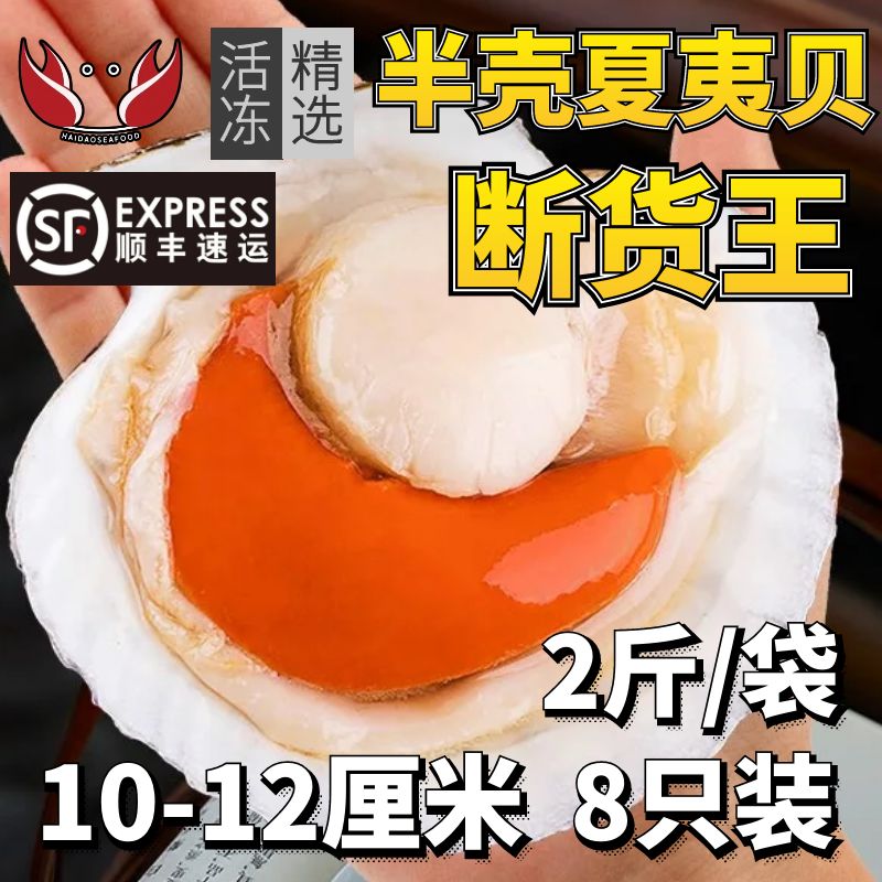 半壳夏夷贝10-12厘米鲜活冷冻海鲜带壳超大水产粉丝蒜蓉扇贝烧烤