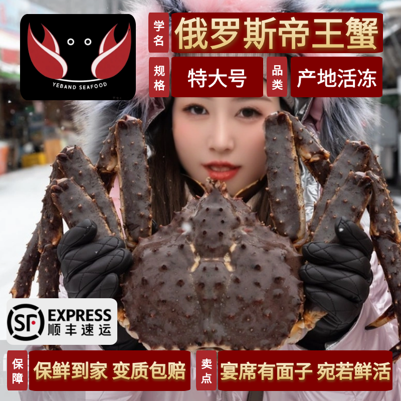 帝王蟹鲜活海鲜椰子蟹面包蟹松叶蟹皇帝蟹雪蟹帝皇蟹长脚蟹龙虾大