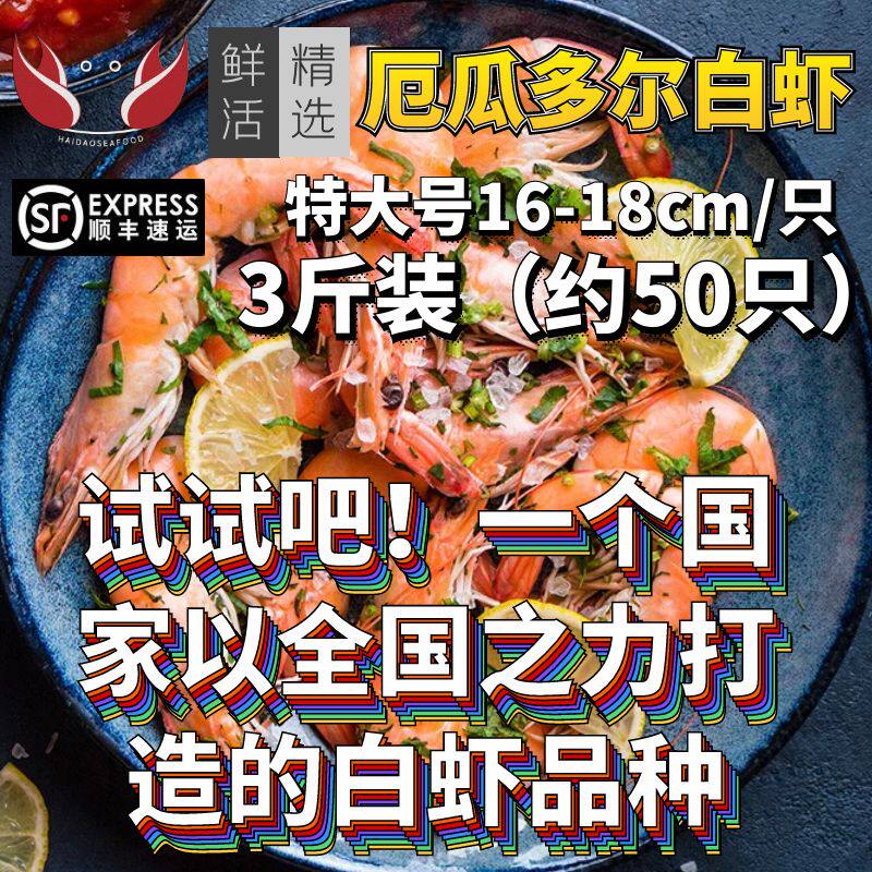 厄瓜多尔白虾大虾鲜活冷冻王牌白虾鲜活速冻虾鲜活野生海虾白对虾