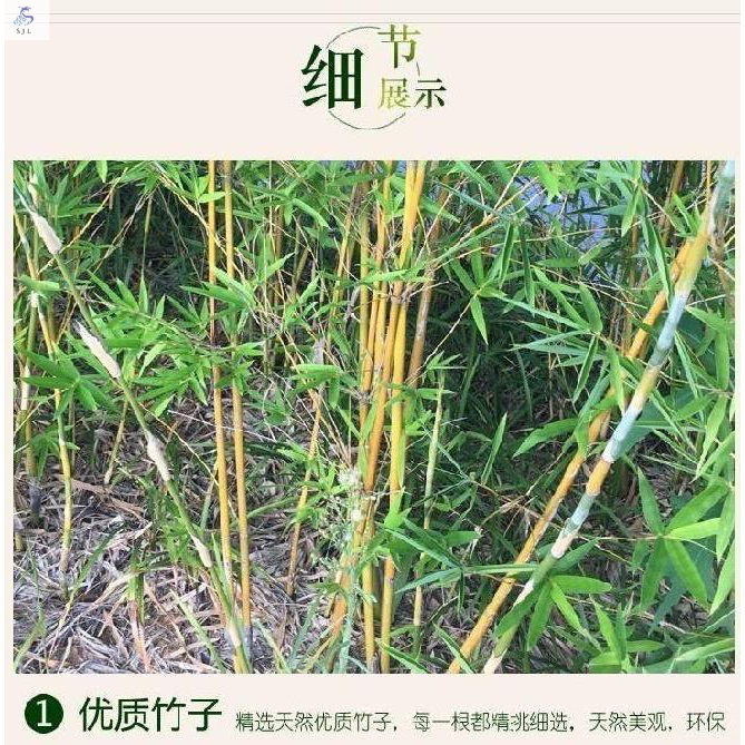 露台小竹子细竹竿种菜花槽绿萝毛竹杆菜园扎栏杆子竹料四季豆插杆