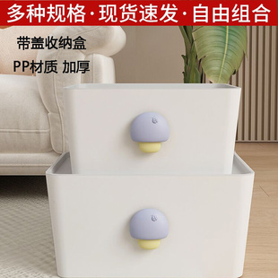 焕龙收纳盒桌面整理客厅零食玩具置物篮厨房杂物筐长方形带盖储物