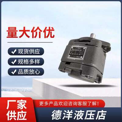海特克HYTEK液压帮浦SUNNY齿轮泵HG2-63 HG0-08 HG1-32内啮合油泵