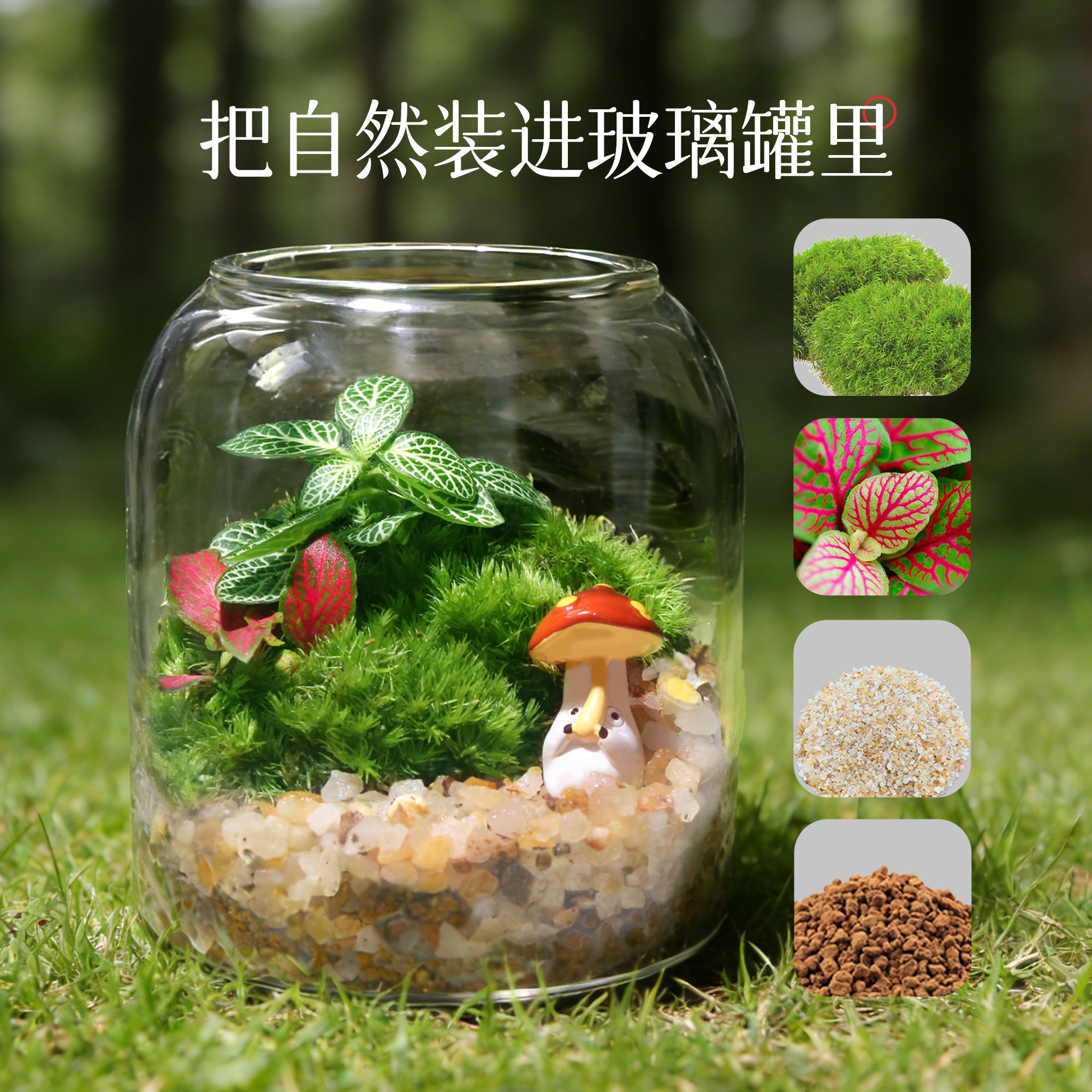 苔藓微景观龙猫玩偶生态瓶透明瓶盖苔原生态植物装饰摆件DIY礼物