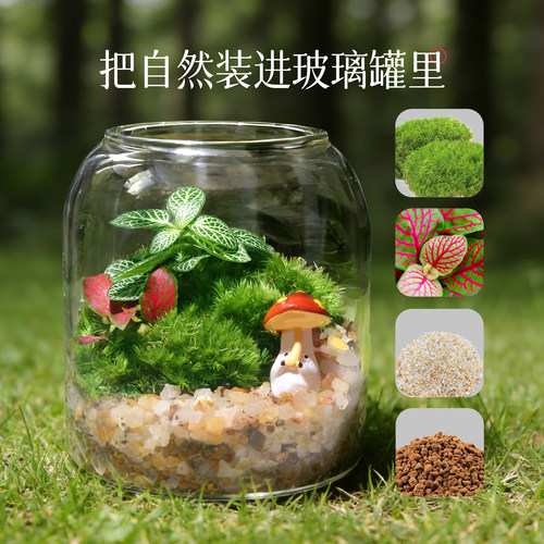 苔藓微景观龙猫玩偶生态瓶摆件