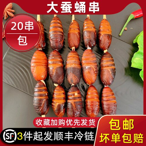 大蚕蛹串蝉蛹串冷冻烧烤食材20串
