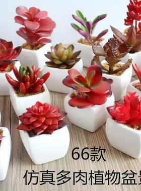 fake plant home/living room/office resin decoration